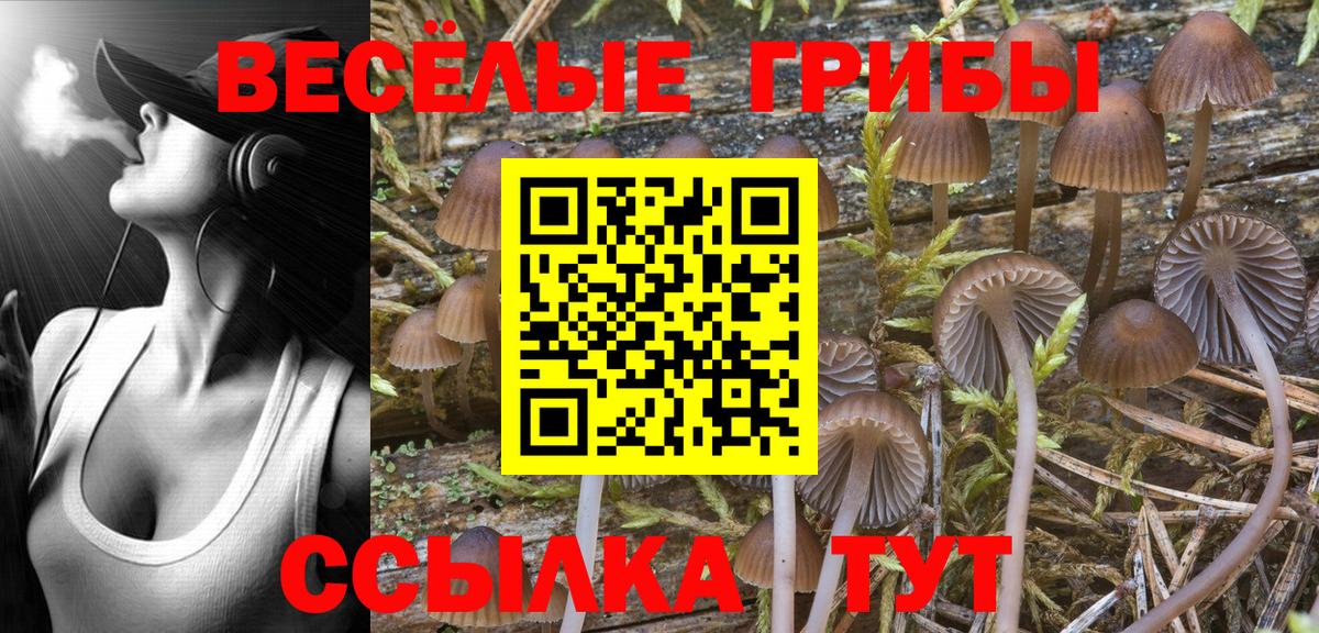Галлюциногенные грибы мицелий Гуково