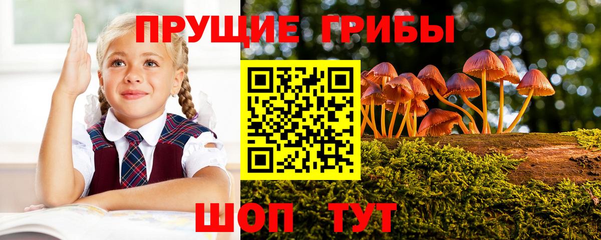 Галлюциногенные грибы Magic Shrooms  Вход с VPN  Гуково 